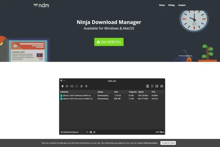 Ninja Internet Download Manager